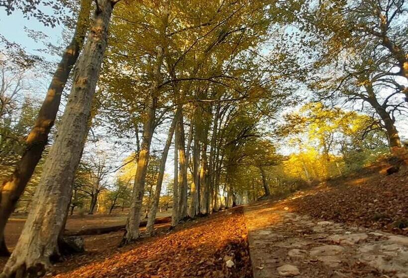 پانسیون Guesthouse _ Daviti