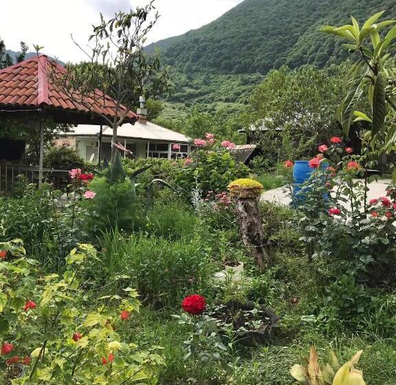 پانسیون Guesthouse _ Daviti