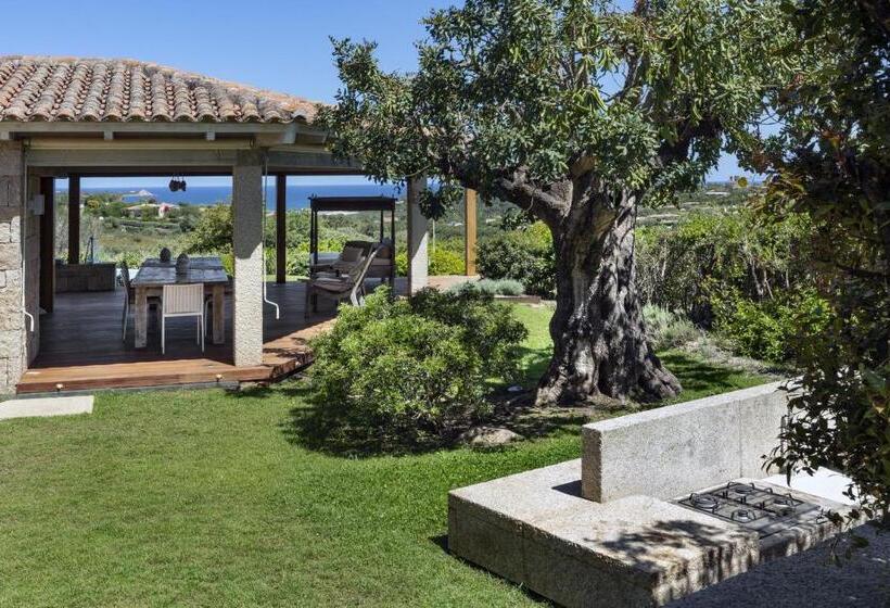 Pensjonat Villa Elvira   Camera Cactus