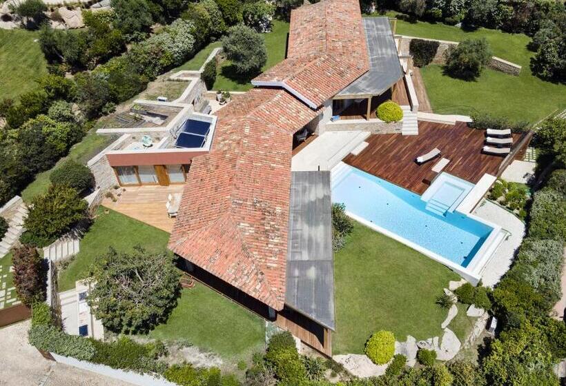 Pensjonat Villa Elvira   Camera Cactus