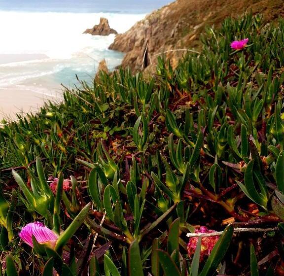 مبيت وإفطار Casa Natura Galicia