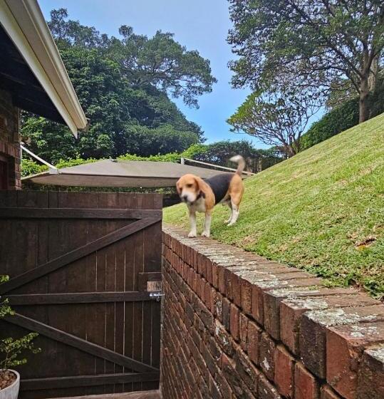 펜션 Avonlea Guest House