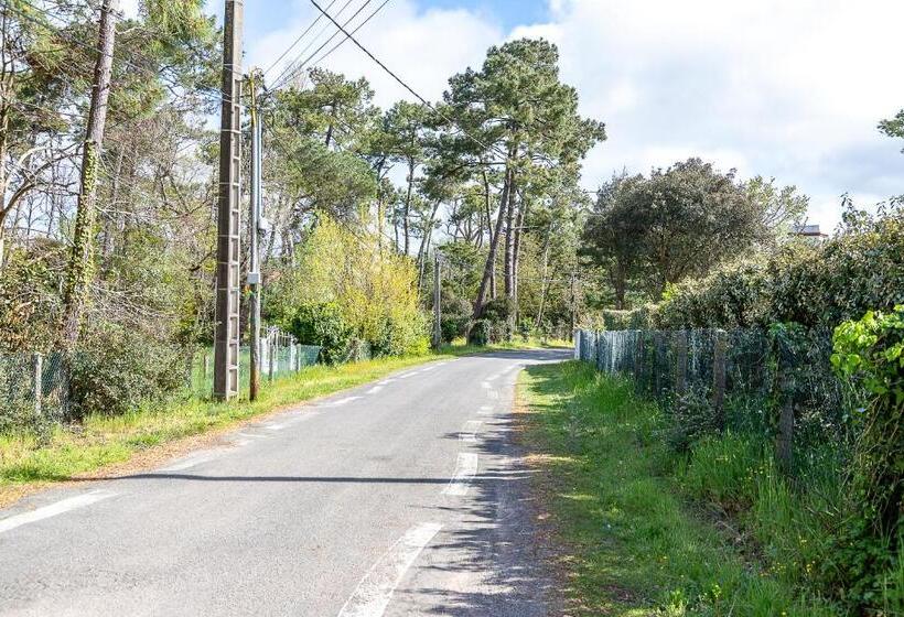ペンション Chambre Sous Les Mimosas 2kms Plage