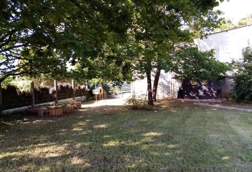 ペンション Chambre Sous Les Mimosas 2kms Plage