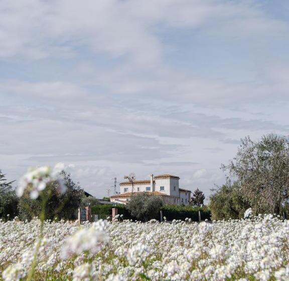 리조트 Moliké Country House