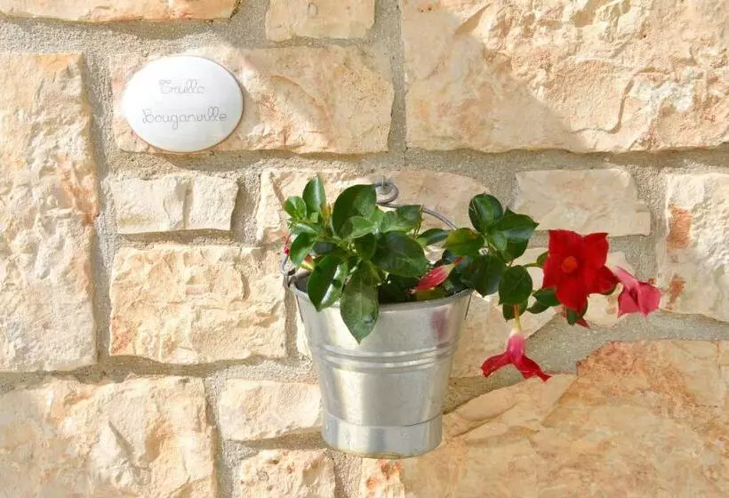 Antica Aia B&b
