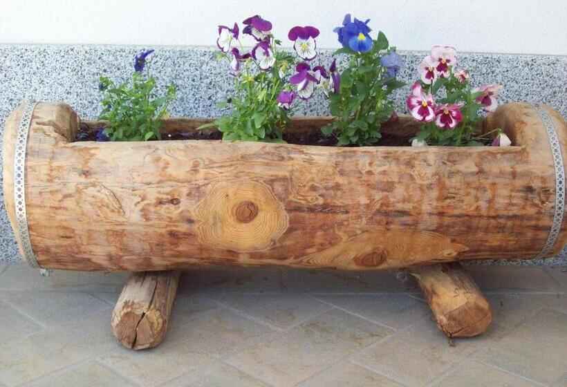 B&b Nido Delle Aquile