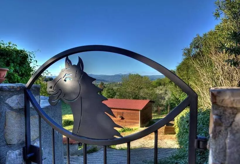 Aamiaismajoitus (B&B) Agriturismo Poggio Del Drago