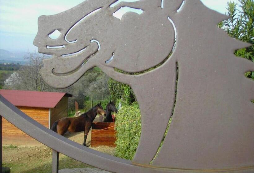 مبيت وإفطار Agriturismo Poggio Del Drago