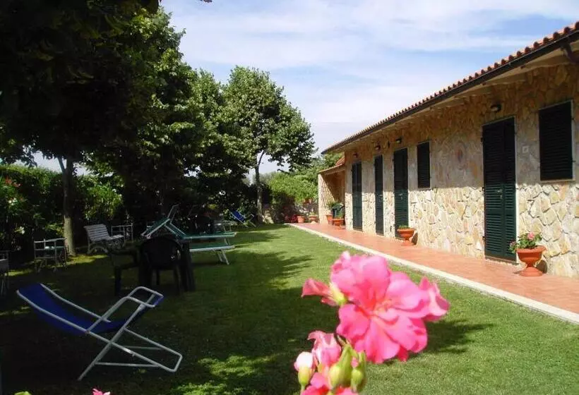 Aamiaismajoitus (B&B) Agriturismo Poggio Del Drago
