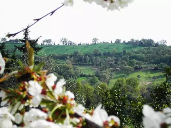 Aamiaismajoitus (B&B) Agriturismo Poggio Del Drago