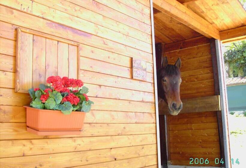 مبيت وإفطار Agriturismo Poggio Del Drago