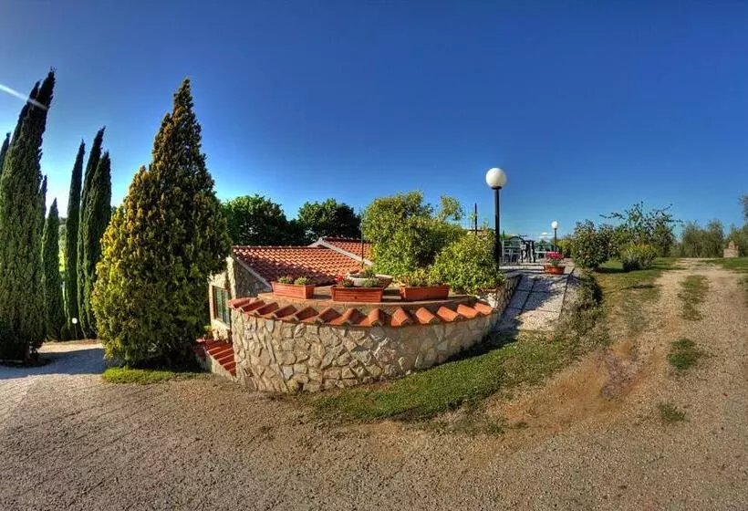 Aamiaismajoitus (B&B) Agriturismo Poggio Del Drago