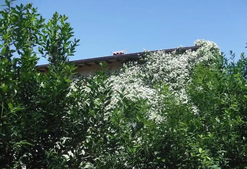 تختخواب و صبحانه La Fratta Art  House