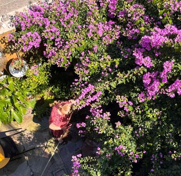 住宿加早餐 The Tower Of The Old King