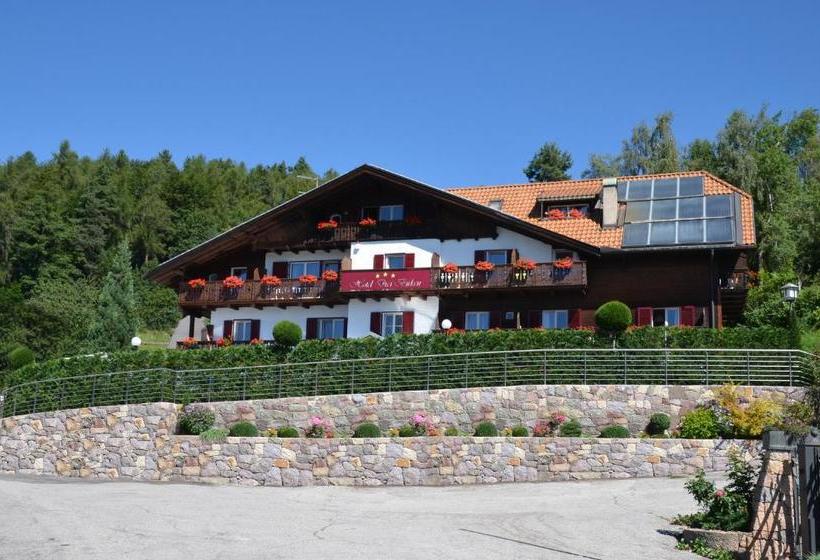 ホテル Drei Birken