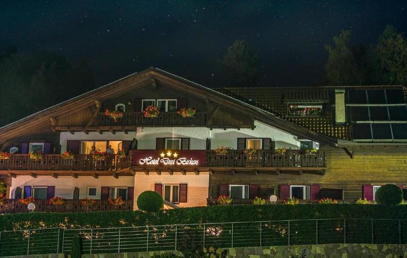 ホテル Drei Birken