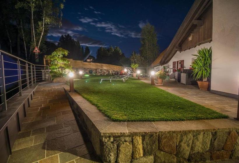 ホテル Drei Birken