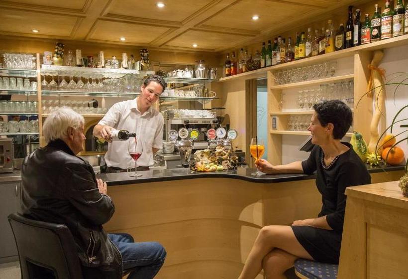 ホテル Drei Birken