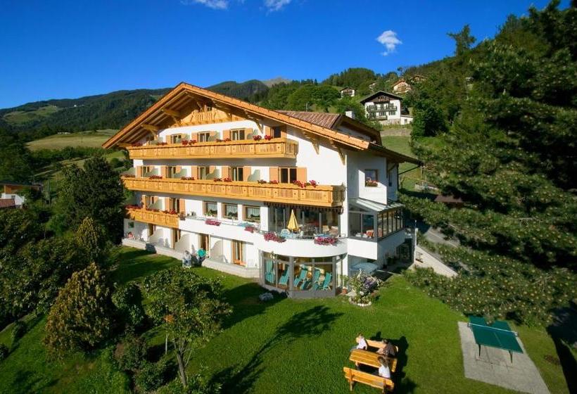 Отель Garni Alpenhof