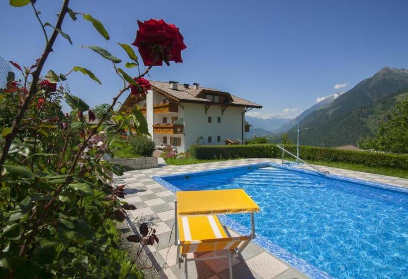 Отель Garni Alpenhof