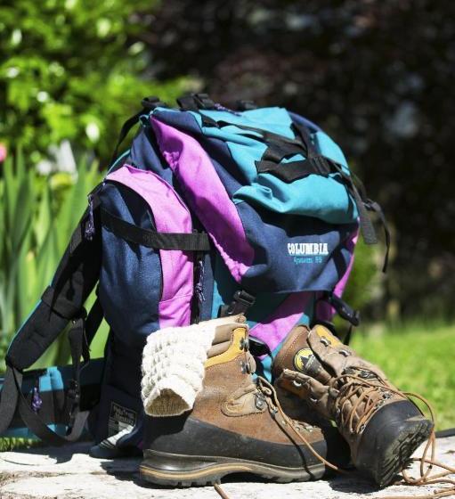 Отель Garni Alpenhof