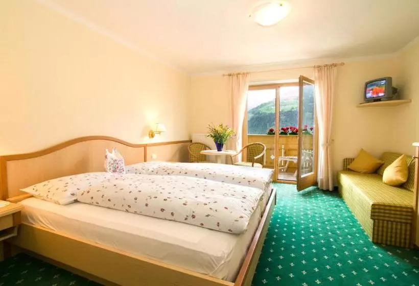 هتل Garni Alpenhof