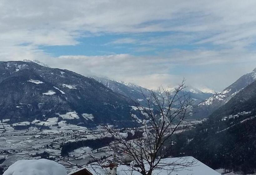 Отель Garni Alpenhof