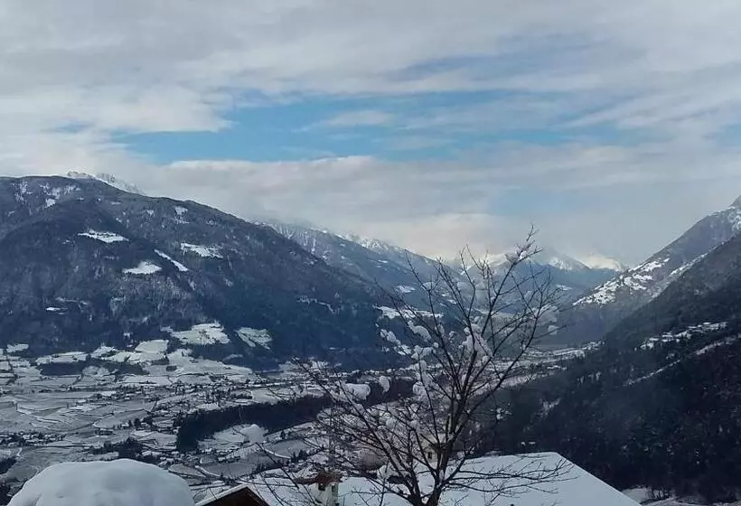 هتل Garni Alpenhof