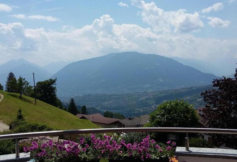 Отель Garni Alpenhof