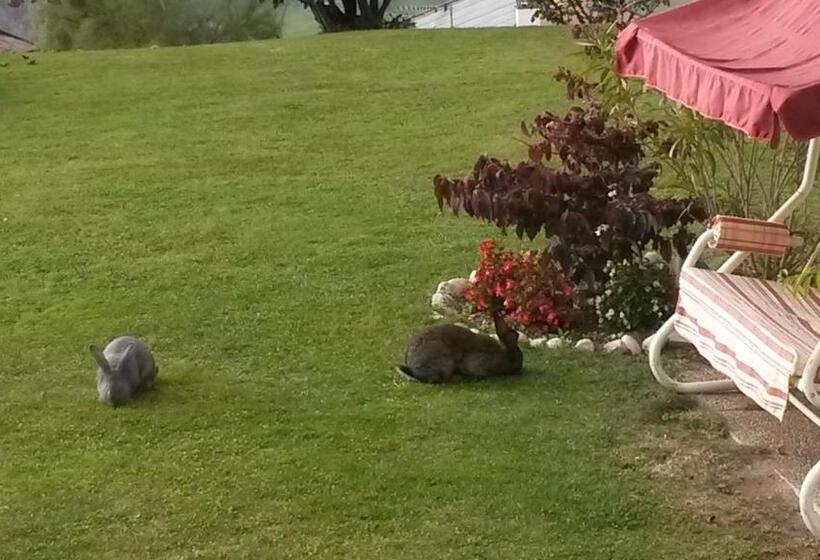 Отель Garni Alpenhof