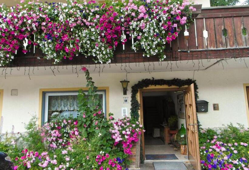 酒店 Pension Enzian