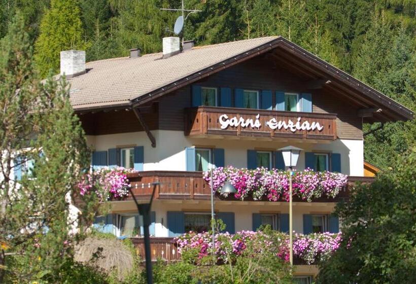 酒店 Pension Enzian