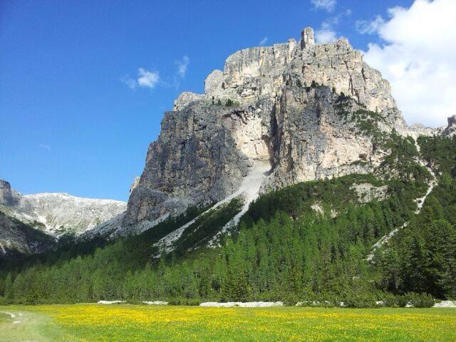 Отель Scoiattolo