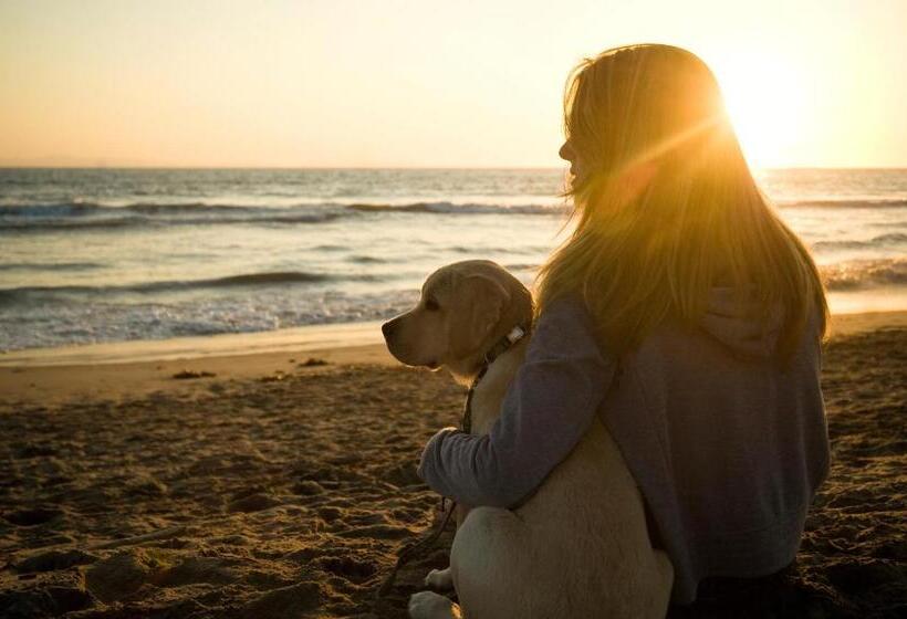 Residence Le Terrazze