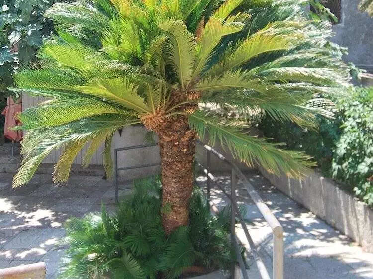 San Giuseppe   Cityhotel Catanzaro