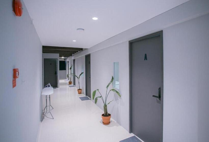 هاستل Bluewaters Collab Quarters