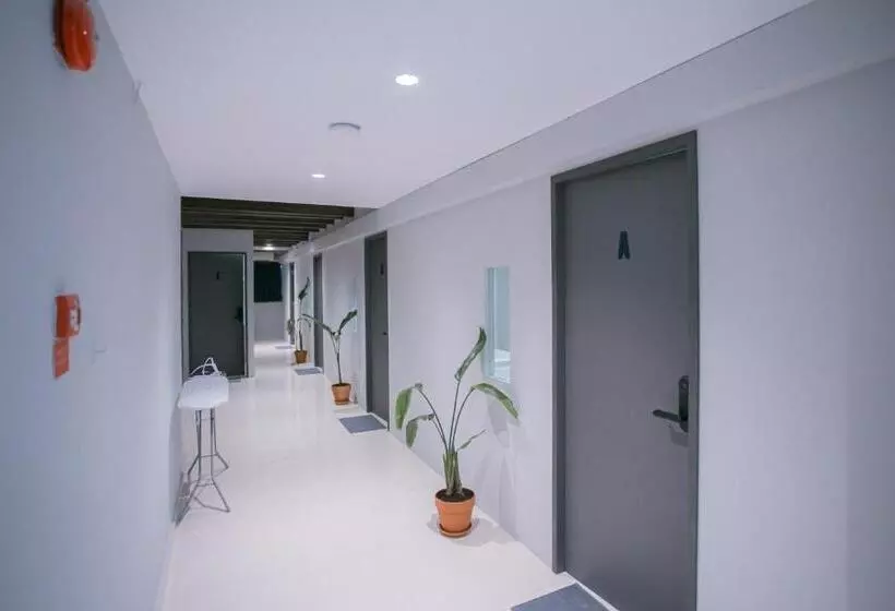 هاستل Bluewaters Collab Quarters