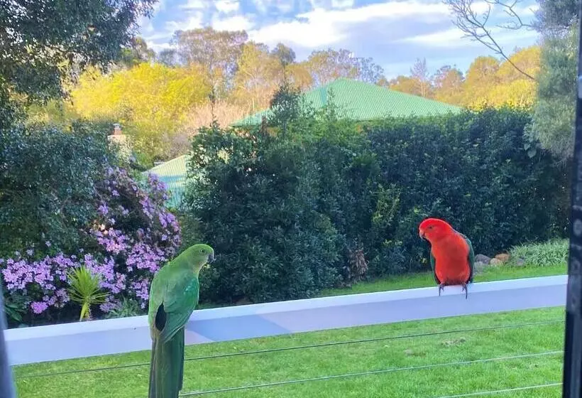 Aamiaismajoitus (B&B) Entire Self Contained Cabin On The Beautiful Mountain