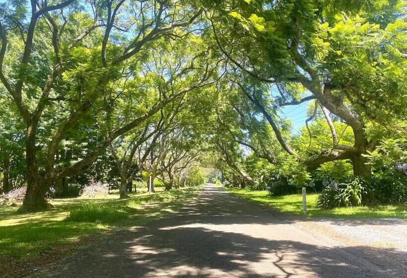민박 Entire Self Contained Cabin On The Beautiful Mountain