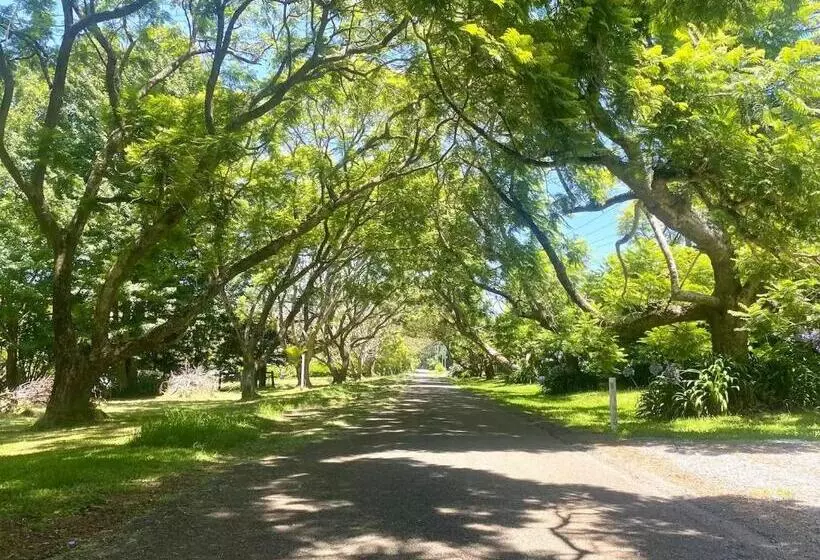 Aamiaismajoitus (B&B) Entire Self Contained Cabin On The Beautiful Mountain