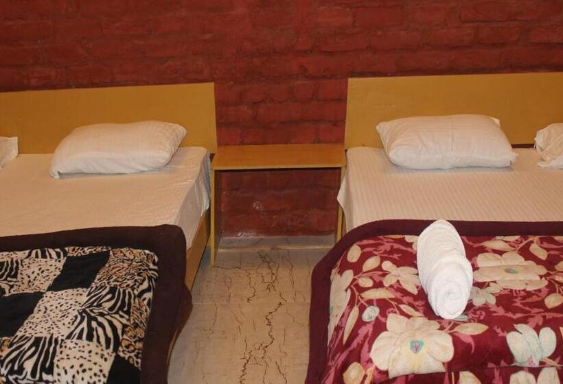 Отель Corbett Safari Room & Adventure