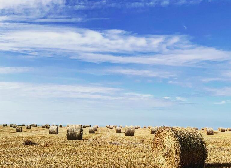 پانسیون Aux Bonheurs Des Roses