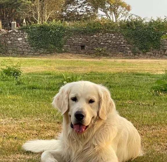 Majatalo La Ferme De Nehou