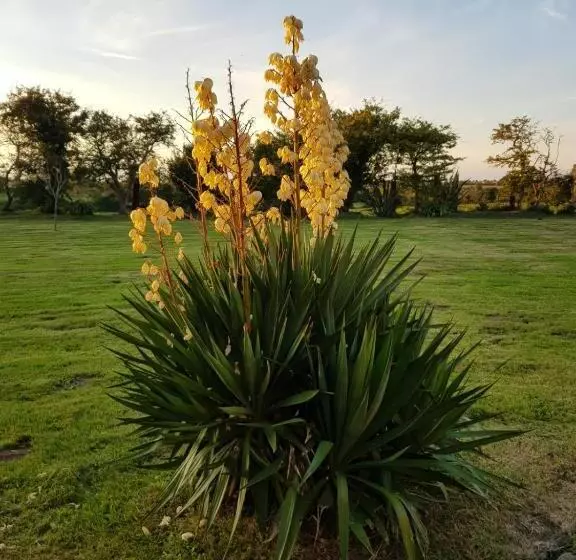 Majatalo La Ferme De Nehou