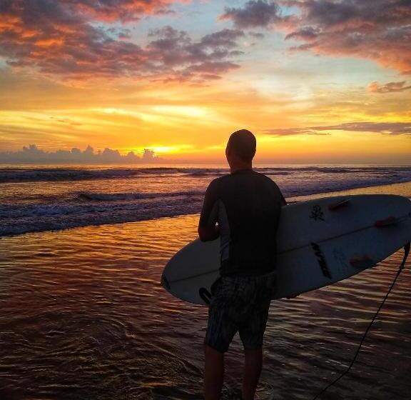 Пансион Oceanic Playa Matapalo
