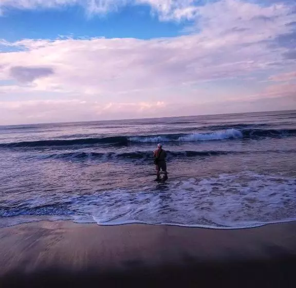 ペンション Oceanic Playa Matapalo