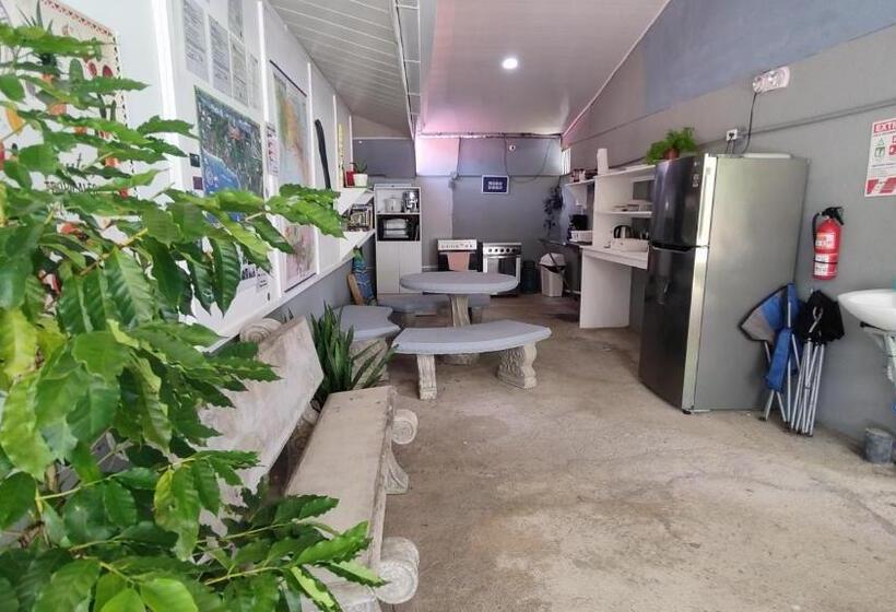 Пансион Oceanic Playa Matapalo