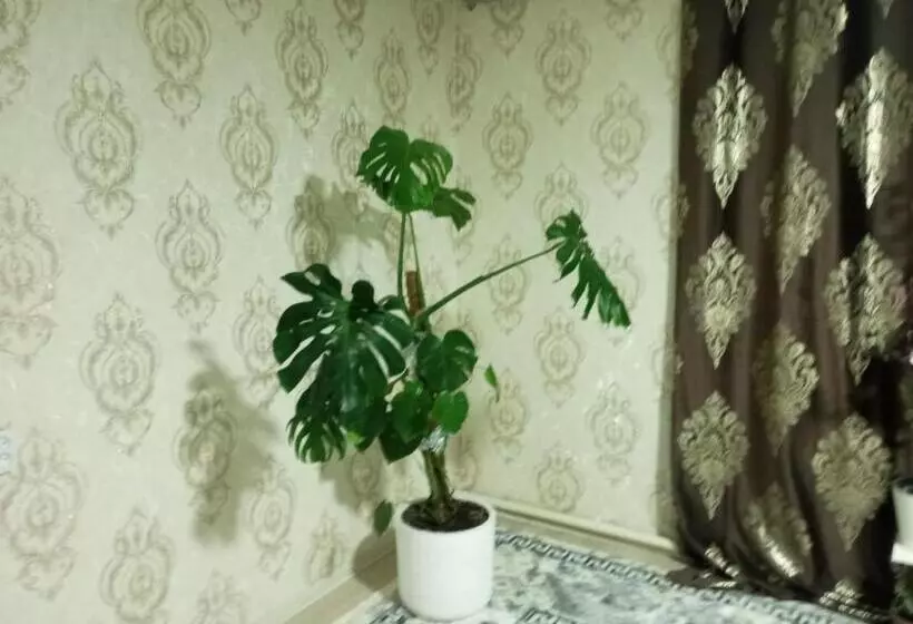 هاستل Asian Guest House