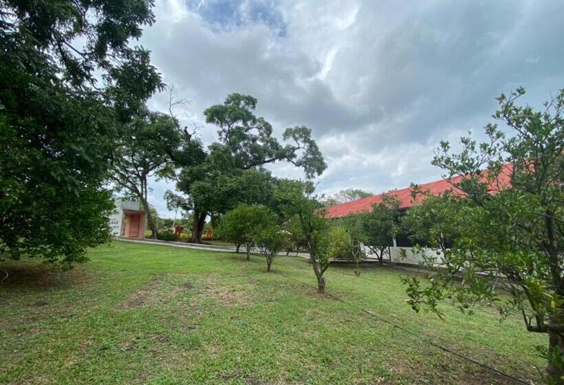 فندق Cabañas El Sabinito